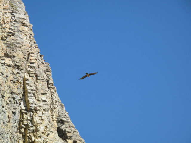 neben dem Leukerbad-Klettersteig