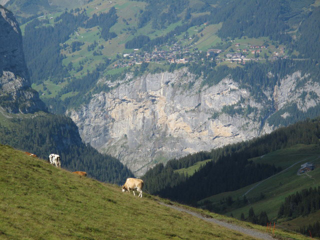 M&uuml;rrenflue von der Jungfraubahn aus