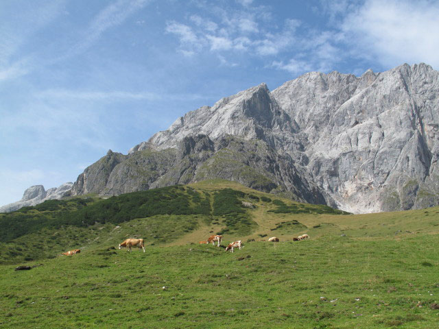 Kälberweid von der Widdersbergalm aus (4. Sep.)