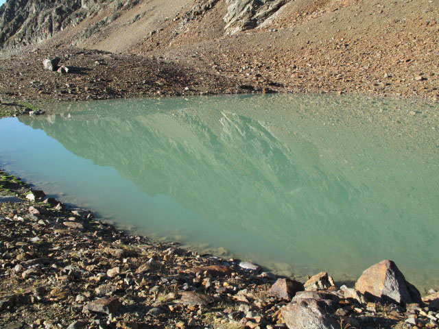 neben dem Neuen Offenbacher Höhenweg zwischen Eiskasten und Vorderer Eiskastenbach (11. Sep.)