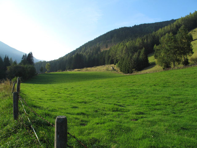 Pulvermacheralm, 1.135 m (16. Sep.)