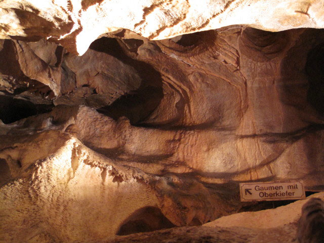 'Gaumen mit Oberkiefer' in der Nixhöhle