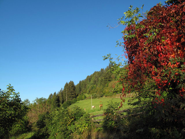Kehrerh&ouml;fe, 1.306 m (1. Okt.)