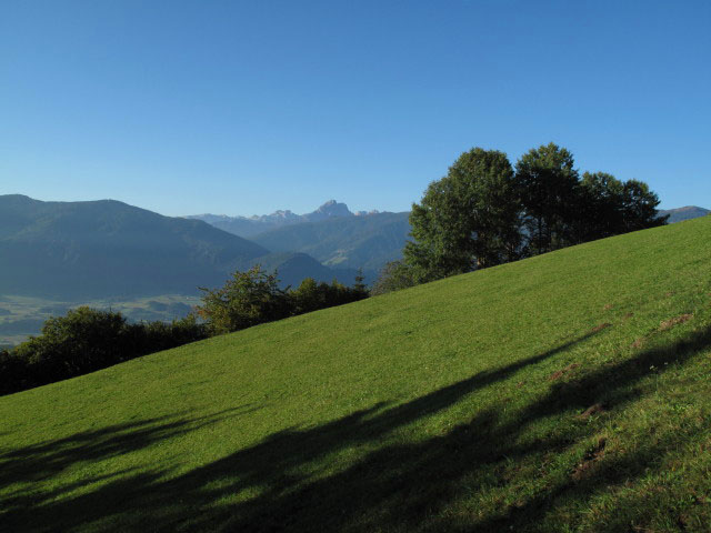 zwischen Kehrerh&ouml;fe und Kofler am Kofl (1. Okt.)
