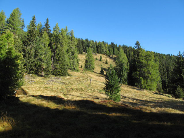 Pfunderer H&ouml;henweg bei der Kreuzung mit Weg 66A und Weg 68 (1. Okt.)