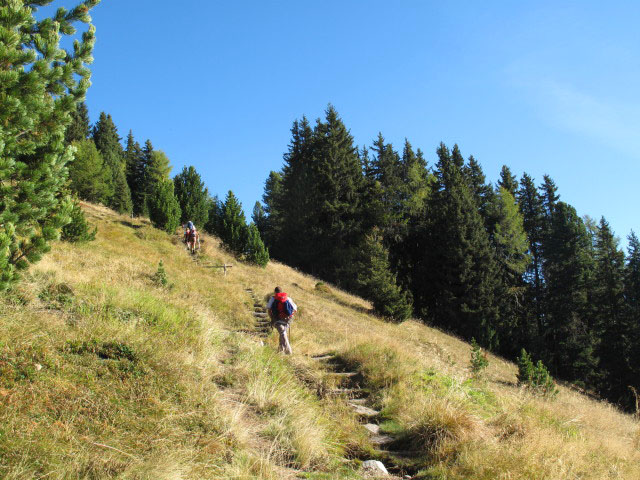 Pfunderer H&ouml;henweg zwischen Geigerh&uuml;tte und Plattner Bergwiesen (1. Okt.)