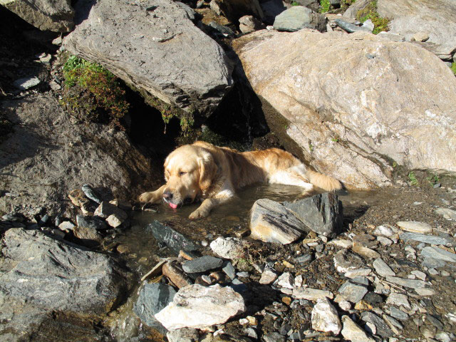 Weg 1 zwischen Schoa&szlig;en und Platte (3. Okt.)