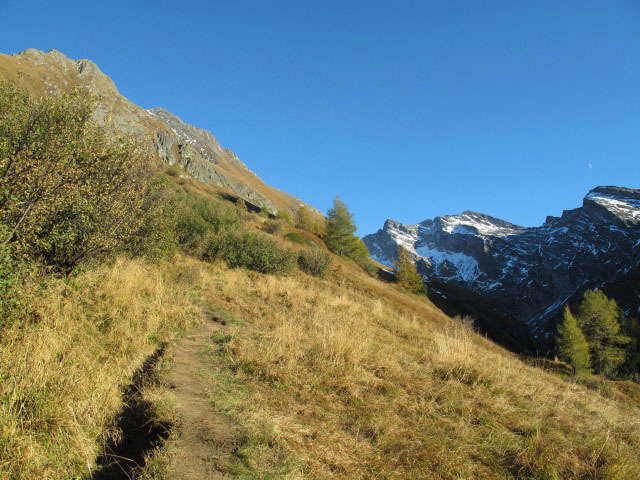 Weg 1 zwischen Bärenbad und Wiener Neustatt (3. Okt.)