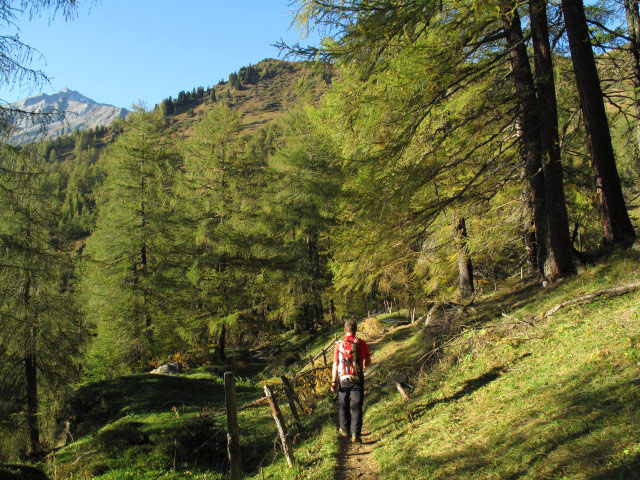 Weg 1 zwischen Wiener Neustatt und Kaser (3. Okt.)