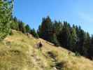 Pfunderer Höhenweg zwischen Geigerhütte und Plattner Bergwiesen (1. Okt.)