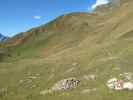 Pfunderer Höhenweg auf der Mitterhoferalm (2. Okt.)