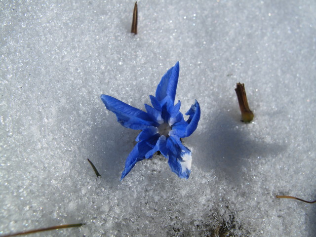 zwischen Theklasteig und Speikkogel (16. Okt.)