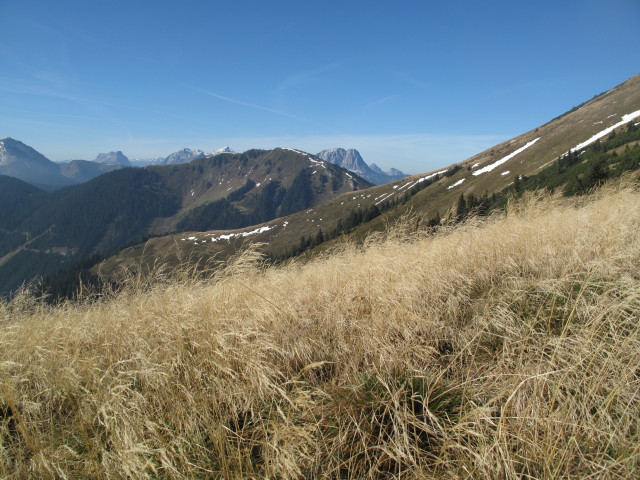 von Weg 681 Richtung Norden (16. Okt.)