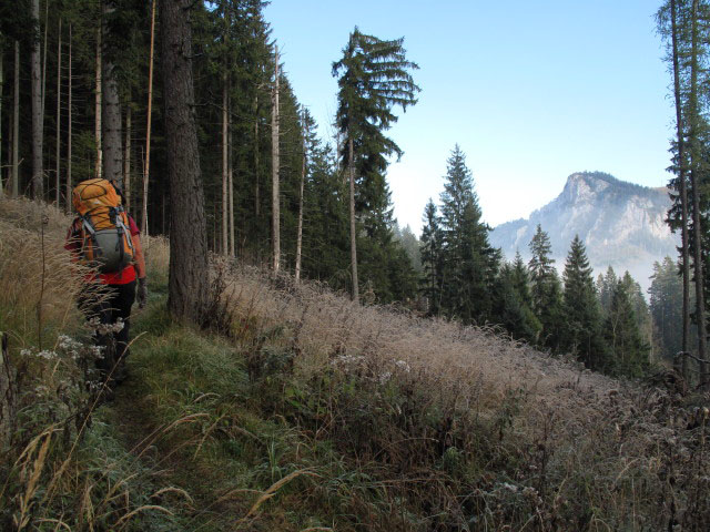 Gudrun zwischen Schwarzau im Gebirge und Waldfreundeh&uuml;tte