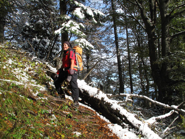 Gudrun zwischen Schwarzau im Gebirge und Waldfreundeh&uuml;tte