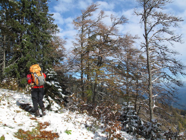 Gudrun zwischen Schwarzau im Gebirge und Waldfreundeh&uuml;tte