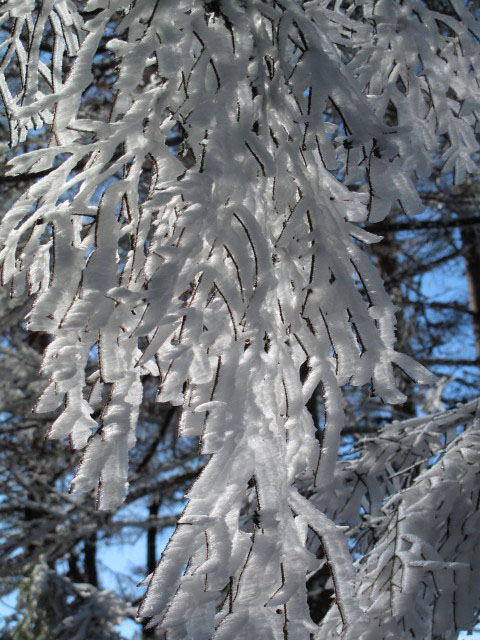 zwischen Obersberg und B&auml;renk&ouml;pfl