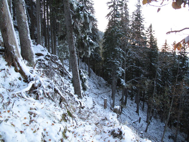 zwischen Pollwischalm und Gippelgraben