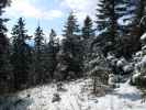 zwischen Schwarzau im Gebirge und Waldfreundehütte