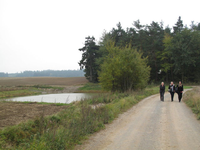 Viktoria, Alexandra und Katharina auf Weg 630 zwischen Kottauner Bach und Galtersberg