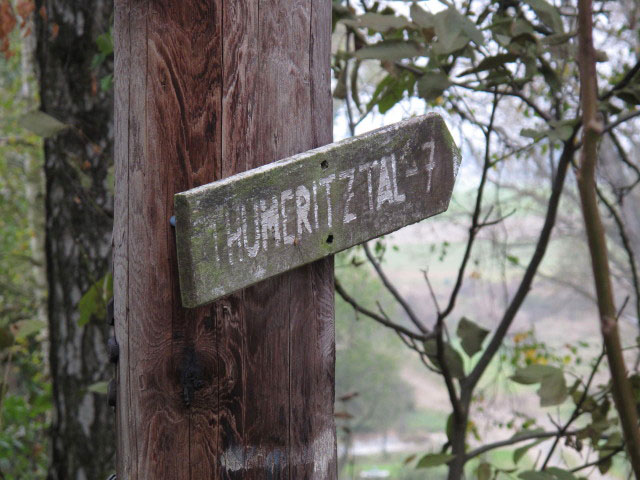 neben Weg 630 in Wolfsbach