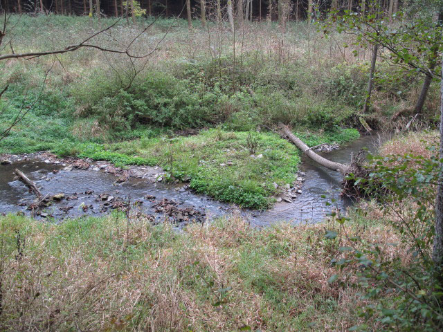 Thumeritzbach zwischen Hirschbergm&uuml;hle und Drosendorf