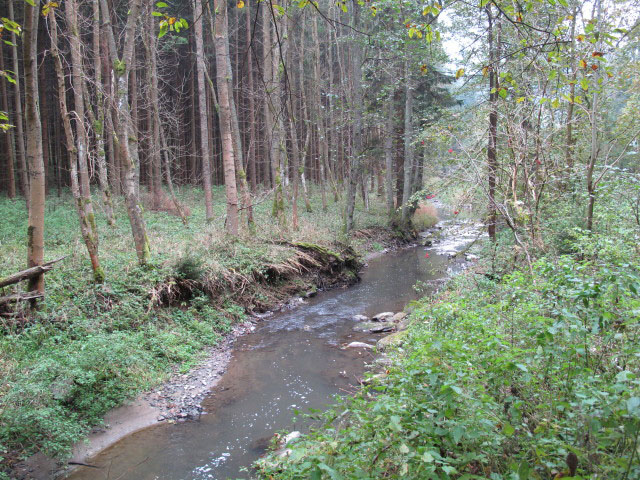 Thumeritzbach zwischen Hirschbergm&uuml;hle und Drosendorf