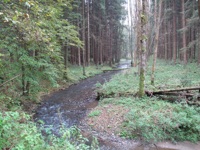 Thumeritzbach zwischen Hirschbergmühle und Drosendorf