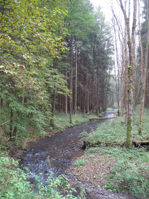 Thumeritzbach zwischen Hirschbergm&uuml;hle und Drosendorf