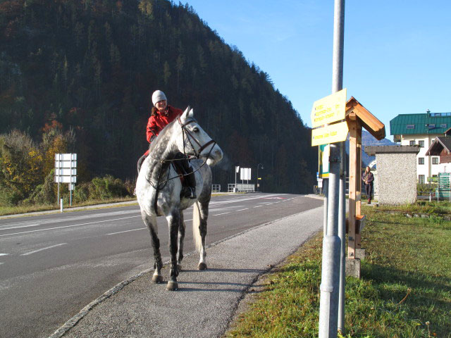 Schwarzenbach, 551 m