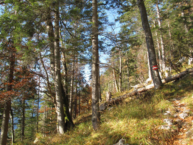 zwischen Obertraun und Goiserer Aussicht
