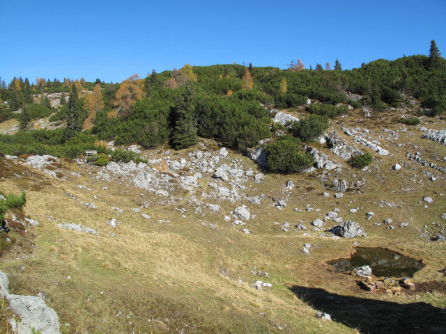 bei der Sarsteinh&uuml;tte