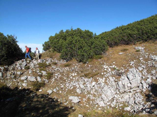zwischen Sarsteinh&uuml;tte und Hoher Sarstein