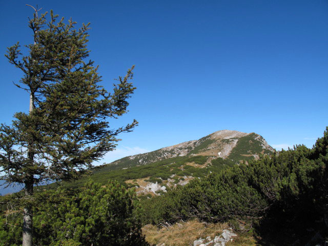 zwischen Sarsteinh&uuml;tte und Hoher Sarstein