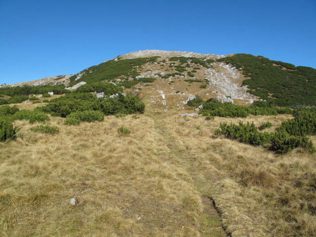 zwischen Sarsteinh&uuml;tte und Hoher Sarstein
