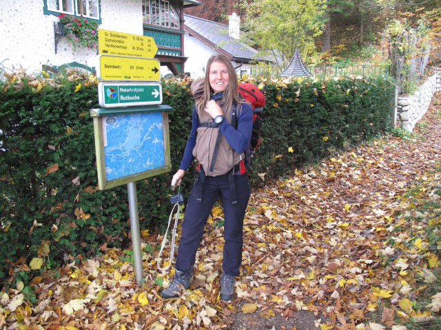 Sonja in Weißenbach am Attersee, 471 m