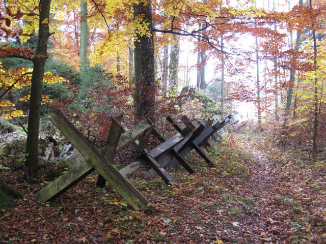 neben Weg 820 zwischen Weißenbach am Attersee und Schoberstein