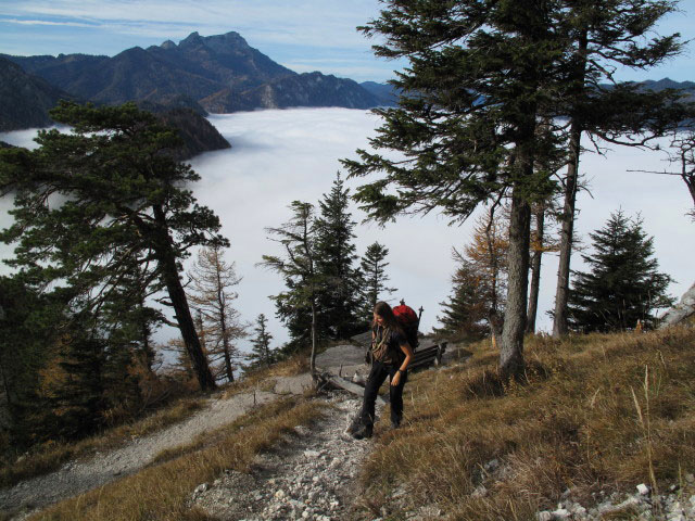 Sonja auf Weg 820 zwischen Wei&szlig;enbach am Attersee und Schoberstein