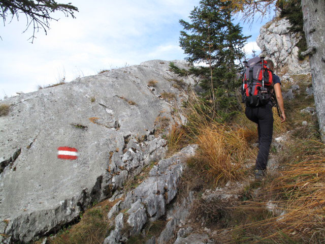 Sonja auf Weg 820 zwischen Schoberstein und Mahdlgupf