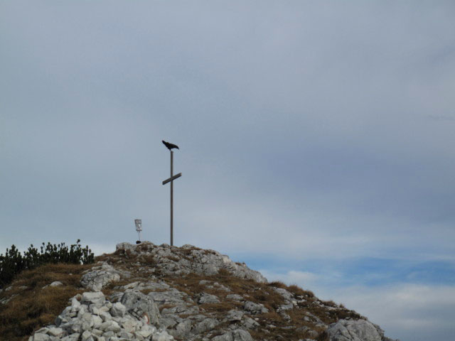 Dachsteinblick, 1.559 m