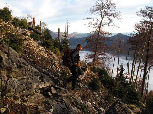 Sonja zwischen Weg 820 und F&uuml;rstenbergstube