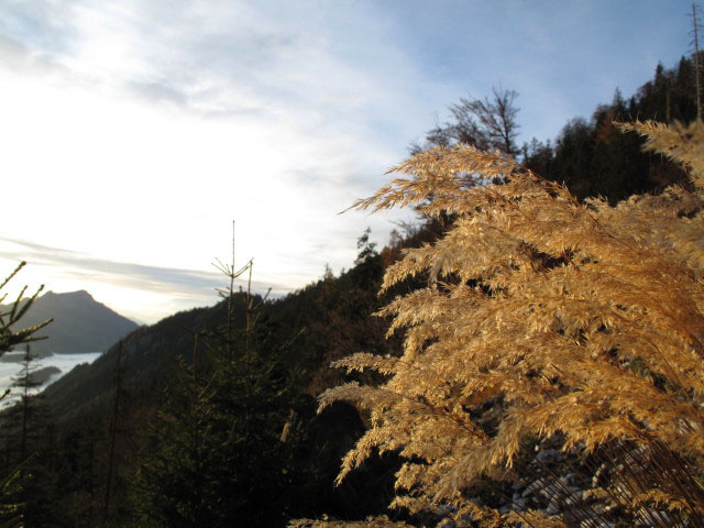 zwischen Weg 820 und F&uuml;rstenbergstube