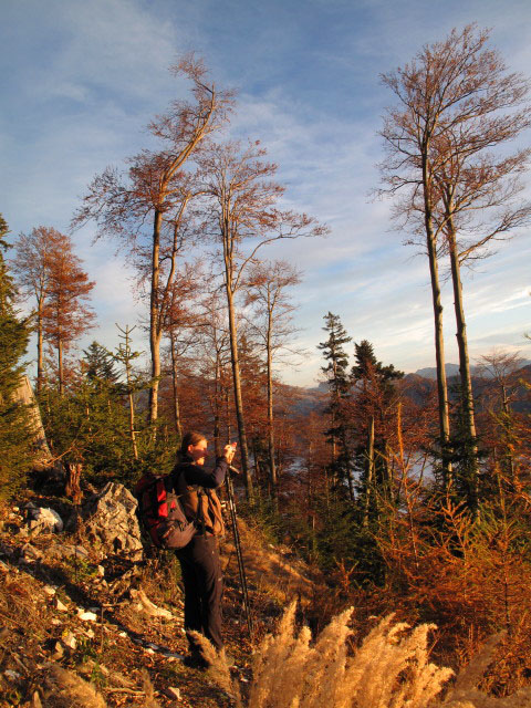 Sonja zwischen Weg 820 und F&uuml;rstenbergstube