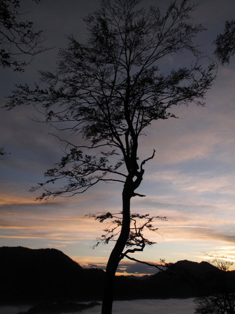 zwischen Fürstenbergstube und Saglstube
