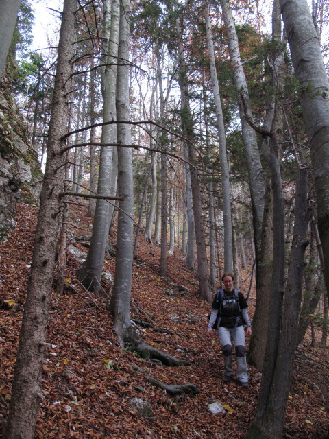 Carmen zwischen Steinerner J&auml;ger und Pfennigstein