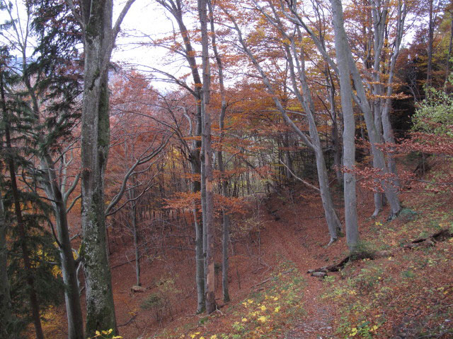 zwischen Pfennigstein und Hack