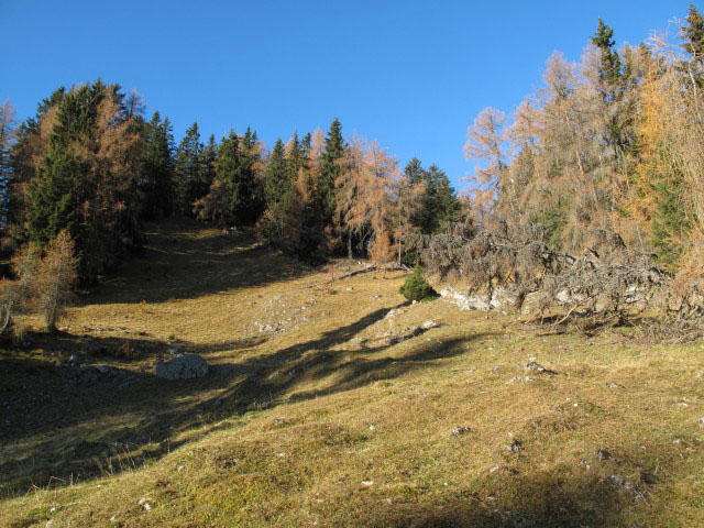 zwischen J&ouml;chlalm und Weihnachtsegg