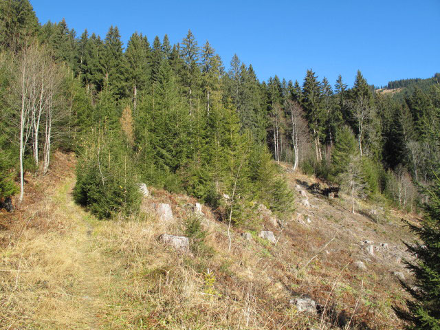 auf Weg 652 zwischen Boder und Mesneralm