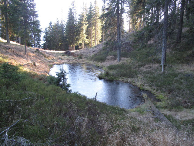 Hirschlacke, 1.420 m