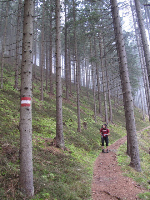 Gudrun auf Weg 489 zwischen Lambach und St&uuml;rzerkogel